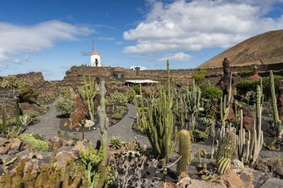 jardin de cactus.jpg